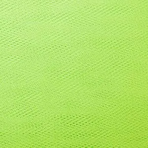 Flo Lime Dress Net